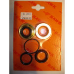 KIT REVISIONE COMPLETA SINGOLO PISTONE PER POMPE HAWK SERIE MT PISTONE D.20 COD.2608.00